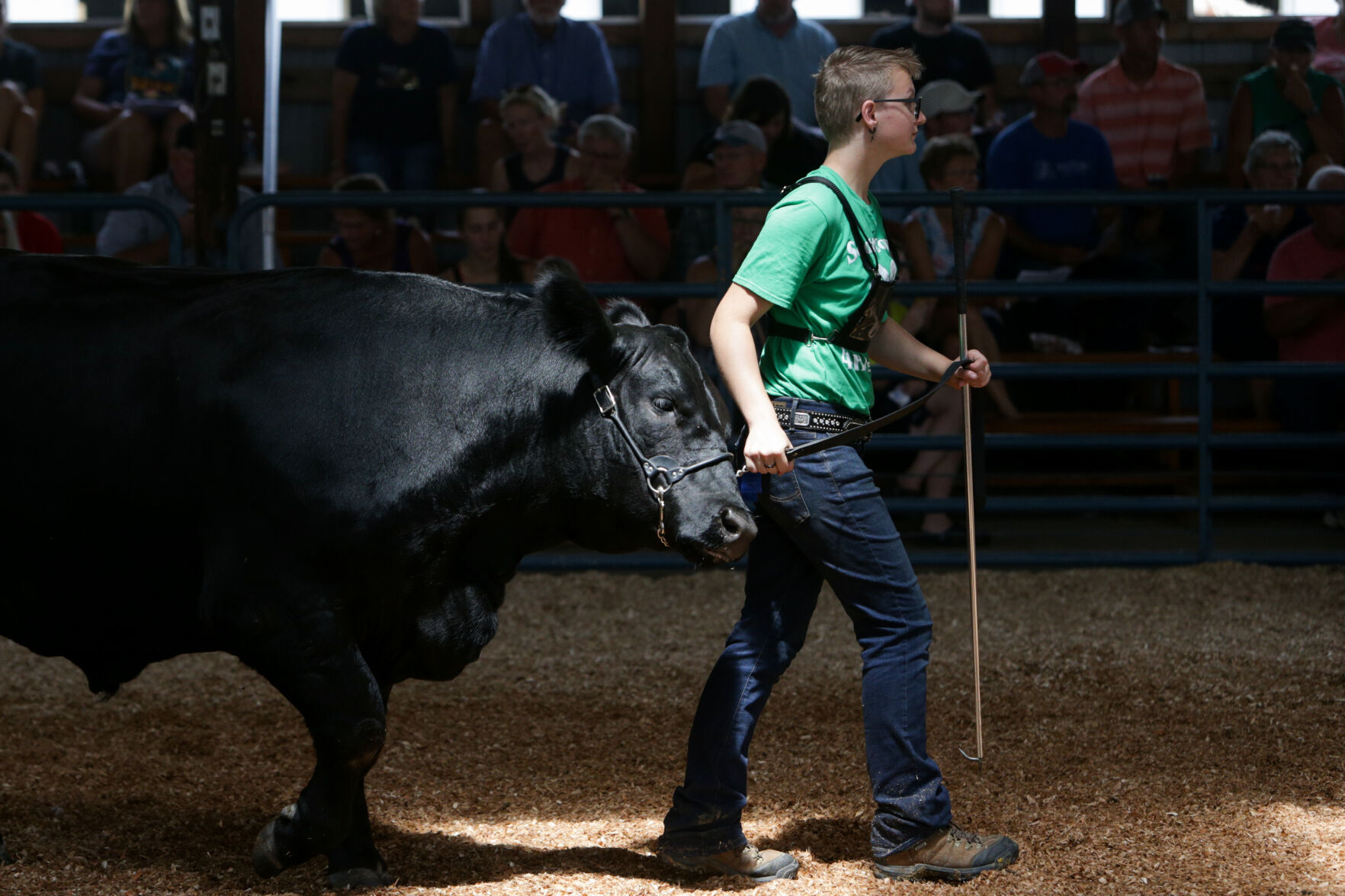 080522-qc-nws-fair-24.jpg